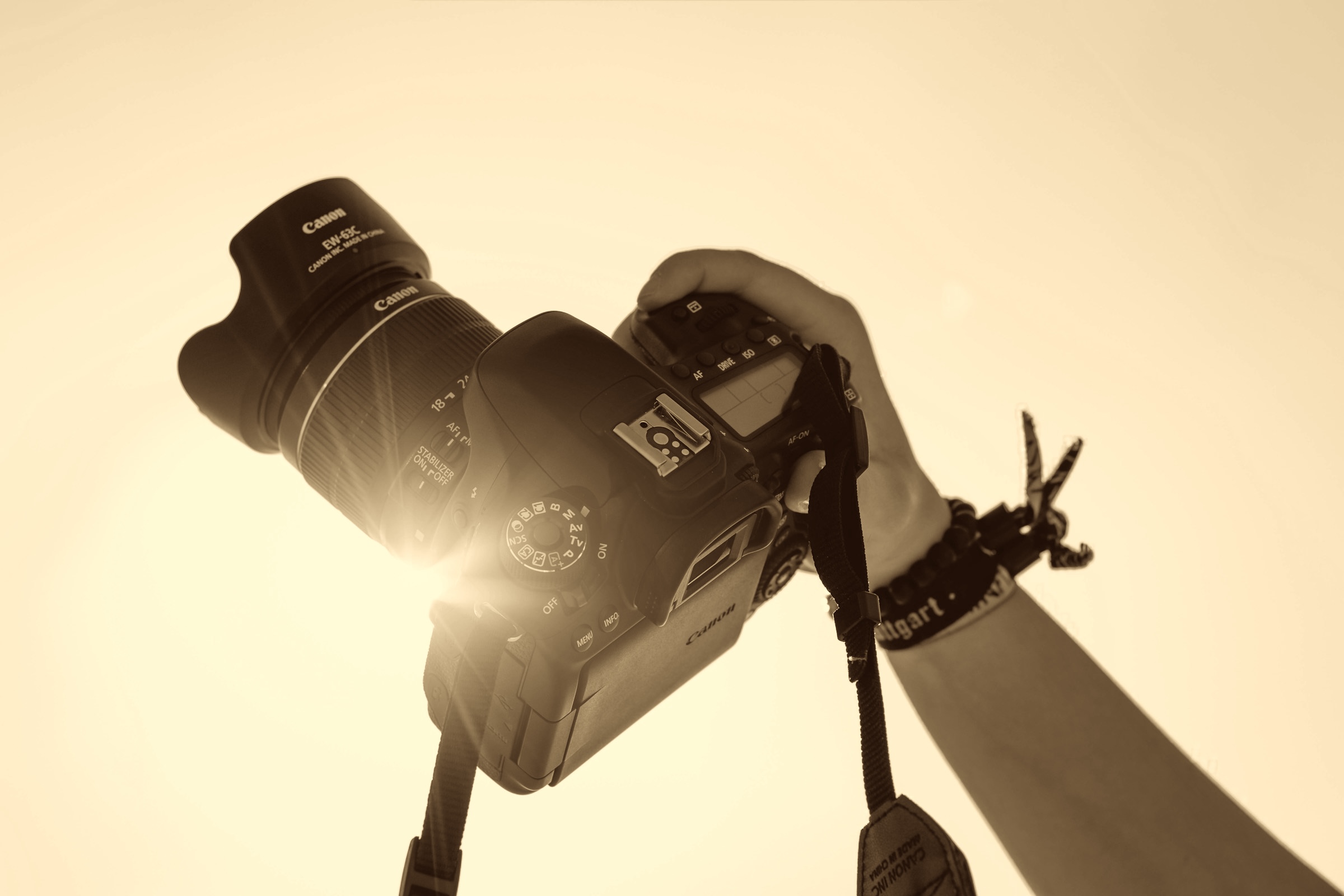 Photos